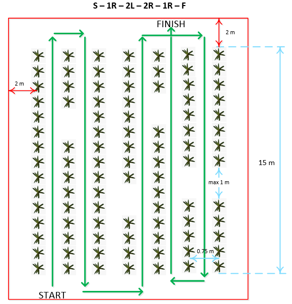Picture of dimensions and example (!) of row navigation pattern for task 2.