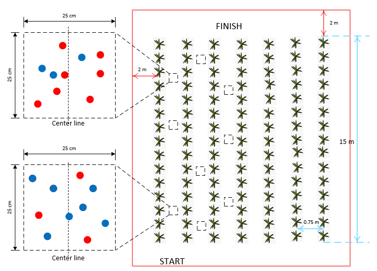 Picture of possible locations of the weeds for task 3. Two zoom areas of 25 cm × 25 cm of two weed patch (with different combinations of blue and red weeds) are also indicated.
