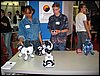 IMG_0007.JPG