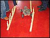 IMG_0045.JPG