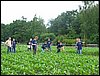 IMG_0052.JPG