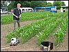 IMG_0023.JPG