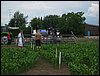 IMG_0024.JPG