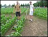 IMG_0028.JPG