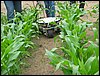 IMG_0040.JPG