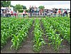 IMG_0068.JPG