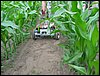 IMG_0079.JPG