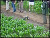IMG_0080.JPG