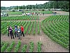 IMG_0087.JPG