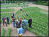 IMG_0095.JPG