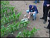 IMG_0103.JPG