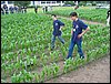 IMG_0121.JPG