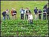 IMG_0149.JPG