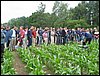 IMG_0166.JPG