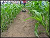 IMG_0169.JPG