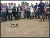 IMG_0174.JPG